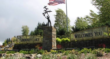 Junk Removal in Bonney Lake