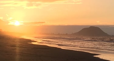 Créativité et élan de vie