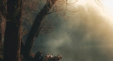 a person sitting on a bench near a body of water