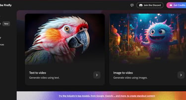 a picture of a parroted bird in the program Adobe Firefly