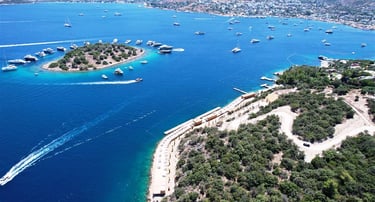 Türkbükü Şoförlü Araç Kiralama