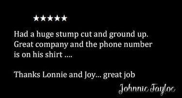 Review by Johnnie Tayloe