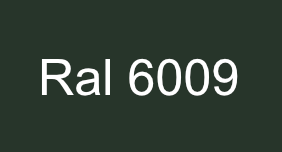 Teinte vert sapin RAl 6009