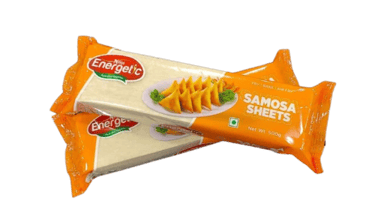 Energetic Samosa Patti