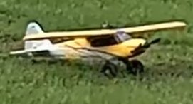 Mark G Carbon Cub