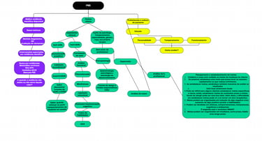 Diagram - PBE