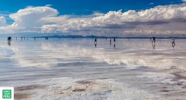 Uyuni & Coipasa Salt Flats Photography Tour Sajama & Potosí Mines 12 Days