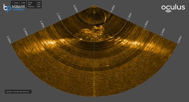 BM consulting ROV anchor chain detection survey, subsea power cable inspection