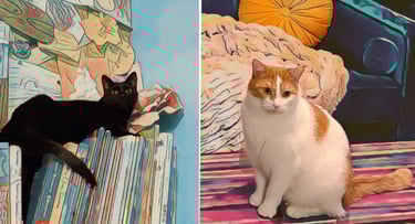 A black cat and a white and orange tabby cat