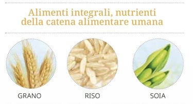 integrazioni integrali