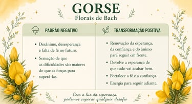 Transformação positiva que o floral Gorse promove, renovando a fé e a esperança.