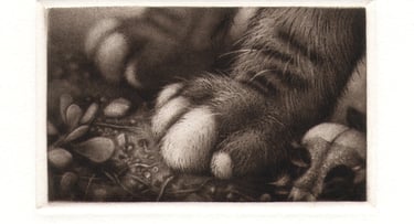 Pussyfoot Mezzotint Engraving Robert De Groff DeGroff Oriole Skull 