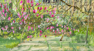 Yeoman's steps magnolia in bloom