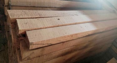 Close-up macro shot of Sal wood (Shorea robusta) texture, highlighting density and durability.