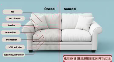 Terraura Yerinde Koltuk Yıkama Antalya Koltuk Temizliği
