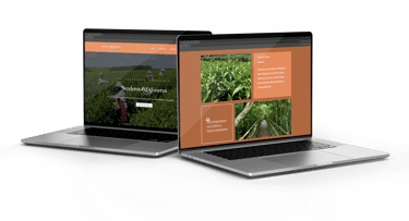 Dos laptops con una web en el interior