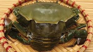 double skinned crabs