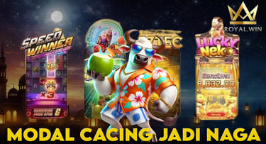 CACING JADI NAGA ROYALWIN INDONESIA