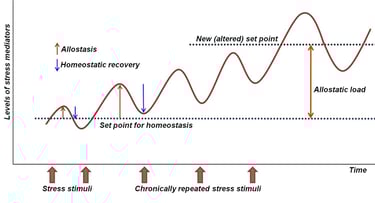 psychosomatische fysiotherapie oefeningen 