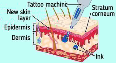 Anatomy of layers of skin, tattoo needle depth
