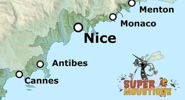 Professional Mosquito Control Services FRENCH RIVIERA