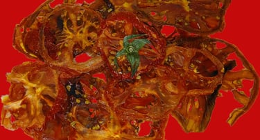 a bunch of dried tomatoes on a red background