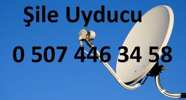 şile uyducu çanak anten ayarı televizyon servisi