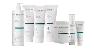 Christina Line Repair products