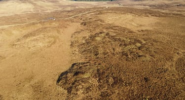 Peat drone peatland