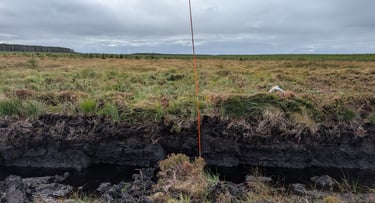 Peat cutting probe survey