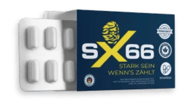 SX66