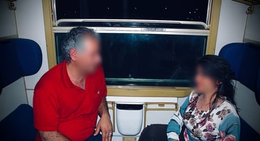 art fraud, Zainab abdulkarim ali Oslo,telemark politi-skien,Fredrikstad politi,Oslo pollitiet, norge