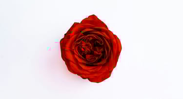 Cenadero La Rosa