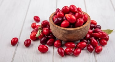 Fruto del agracejo, fuente de berberina