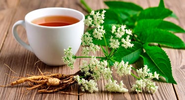 Té, flores y raíces de valeriana