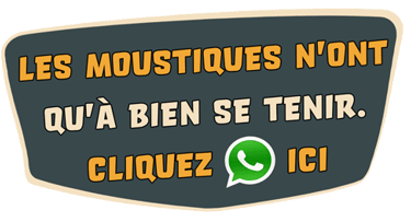 CTA WhatsApp moustiques