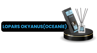 "Lopars Okyanus, uygun fiyatlı oda kokusu, bambu çubuklu, oda parfümü, deniz esintisi
