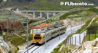 Reabertura da linha da Beira Alta Celorico Mangualde