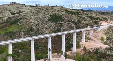 Reabertura da linha da Beira Alta Celorico Mangualde