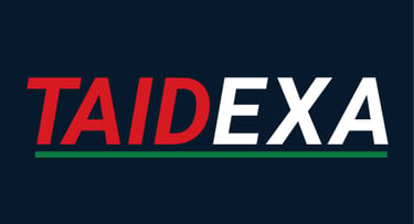 Taidexa large brand logo