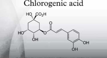 axit chlorogenic CGA