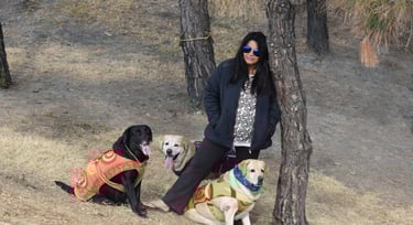 Dog Boarding, Dog Boarding near me, Pet Boarding, Pet Boarding near me, Dog Care, Happy Pettings