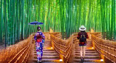 chemin de vie et choix