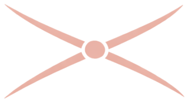 A pink crossing icon symbolising a threshold or turning point on the Living Path.