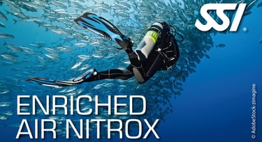 a scuba diver in a scuba suit with a scuba diver in the background