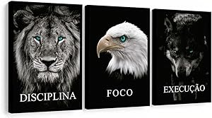 Quadro Disciplina, Foco e Execução