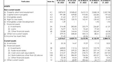 assets _balance sheet_irm energy ipo analysis_the moat investor