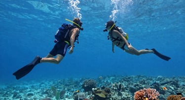 Two scuba divers exploring a vibrant coral reef with tropical fish in the Red Sea.