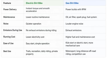 Fat tire electric bicycle snow sand beach riding ebike lxtek mobility