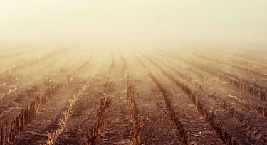 God Needs an Empty Field